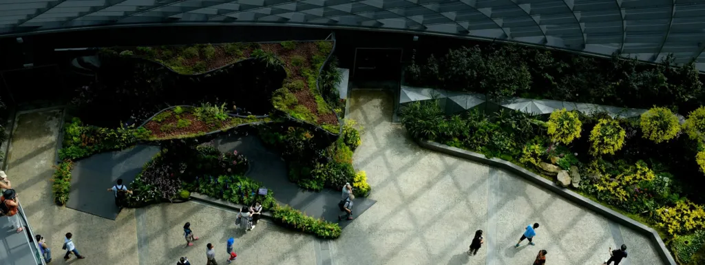 Sustainability Transformation and Environmental Management