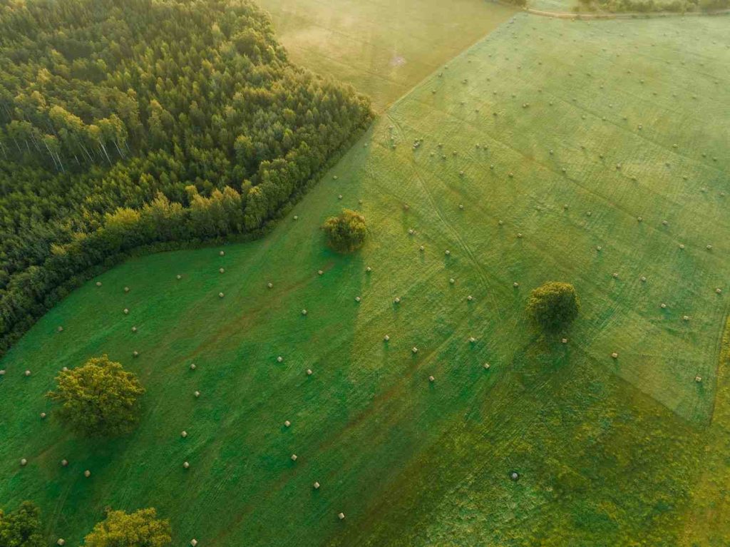 Thailand Green Infrastructure Projects: Aerial view of a green field dotted with hay bales, bordered by a dense forest under soft morning light.