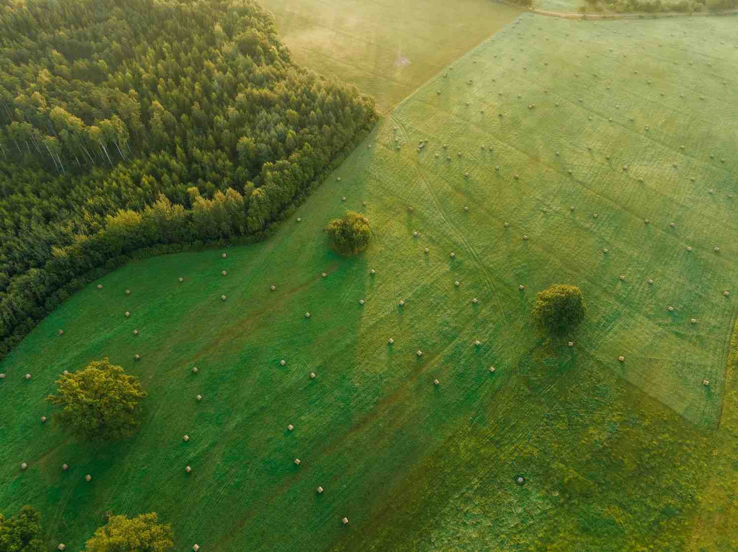 Thailand Green Infrastructure Projects: Aerial view of a green field dotted with hay bales, bordered by a dense forest under soft morning light.